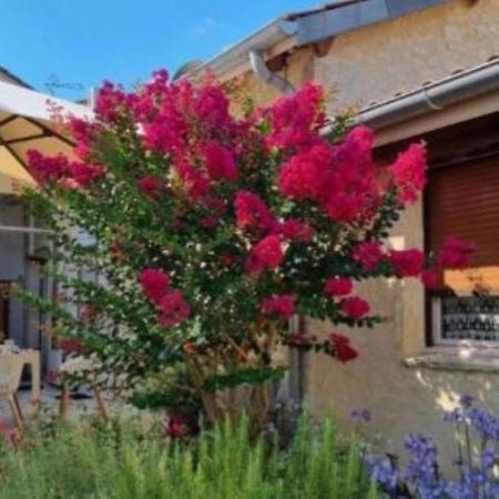 Rouffignac-de-Sigoules L'Esprit Du 24 Bed & Breakfast エクステリア 写真