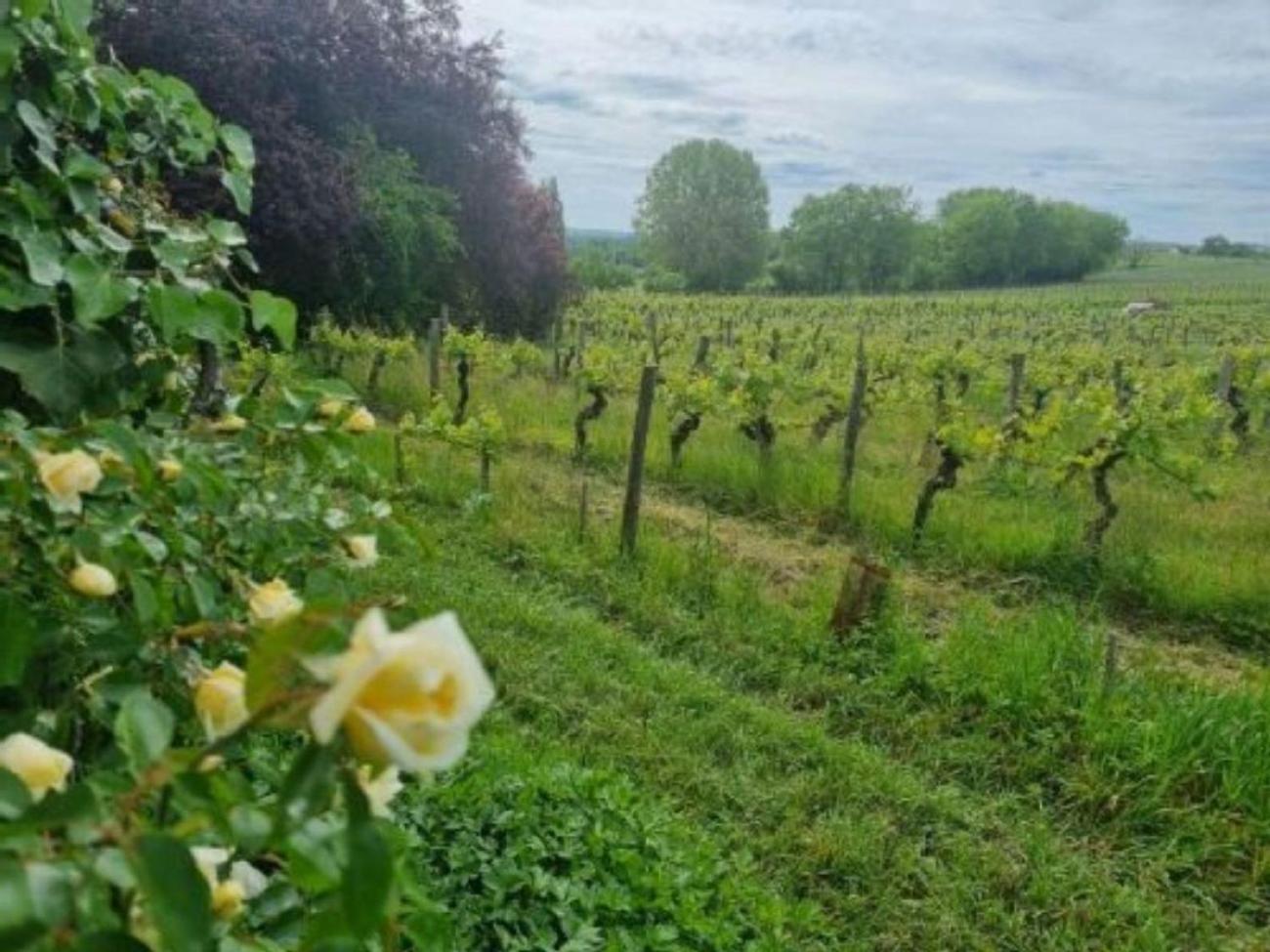 Rouffignac-de-Sigoules L'Esprit Du 24 Bed & Breakfast エクステリア 写真